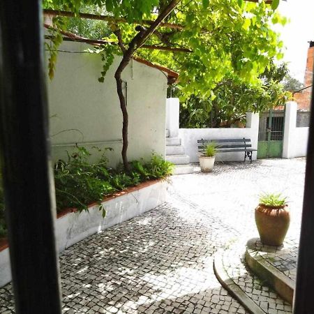 Casa Dos Pocinhos Ferias Tranquilas No Campo توريس نوفاس المظهر الخارجي الصورة
