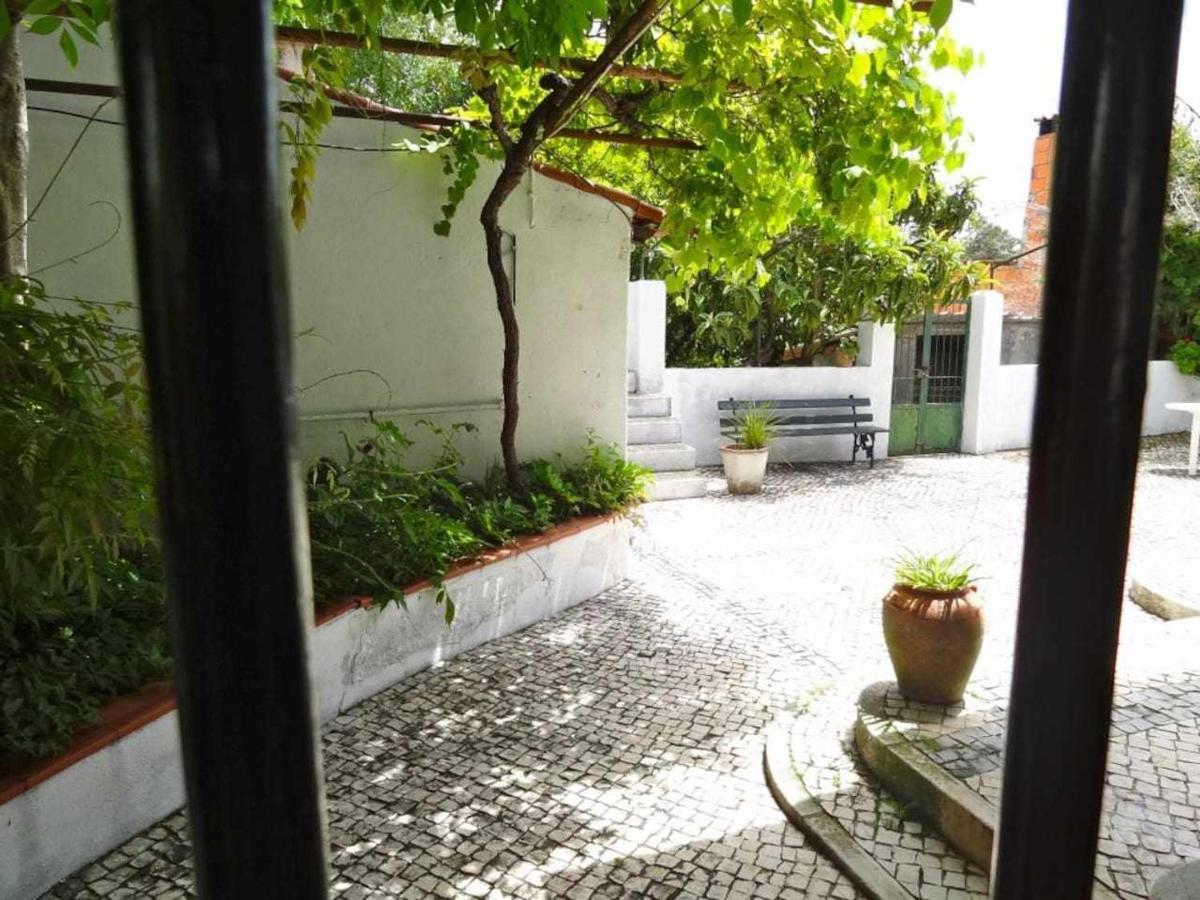 Casa Dos Pocinhos Ferias Tranquilas No Campo توريس نوفاس المظهر الخارجي الصورة