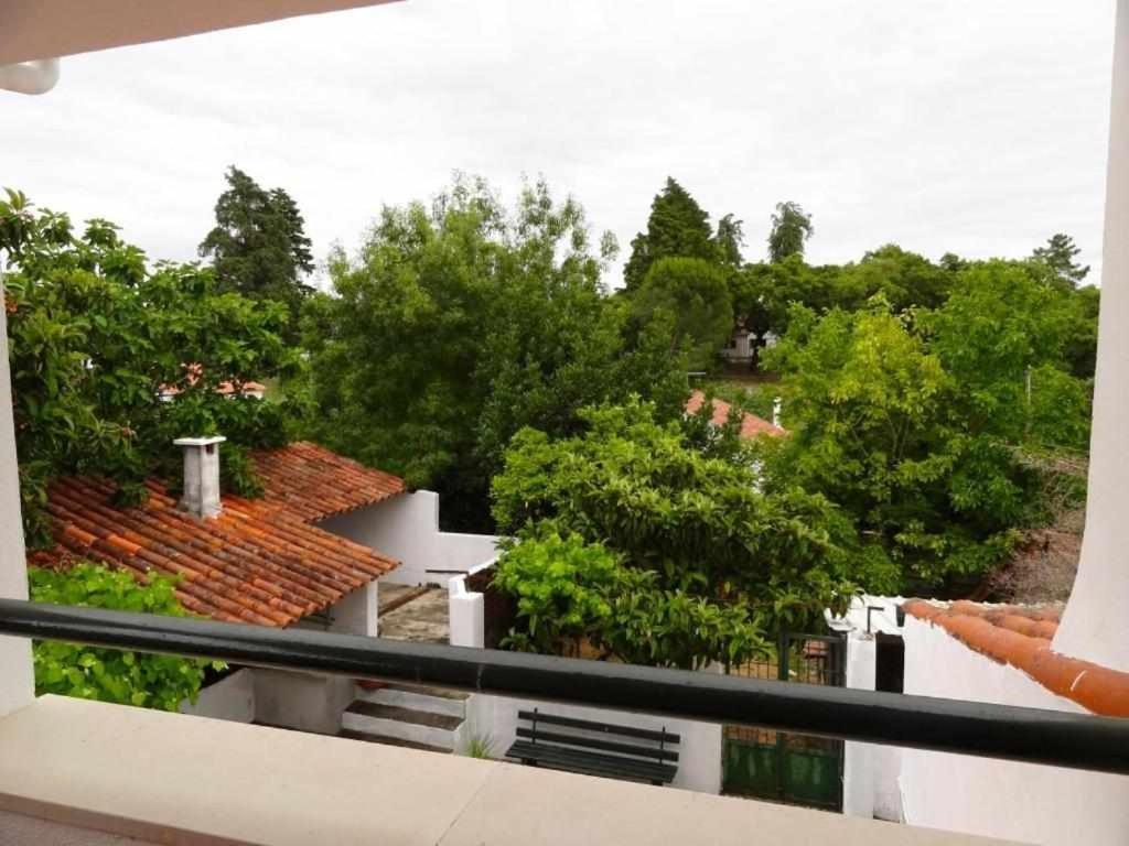Casa Dos Pocinhos Ferias Tranquilas No Campo توريس نوفاس المظهر الخارجي الصورة